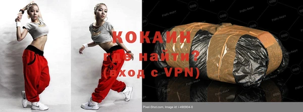 стаф Козловка